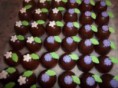 /album/galeria-de-fotos/mini-trufas-dec-1-jpg/